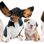 WhatsApp Image 2025-09-15 at 09.42.16